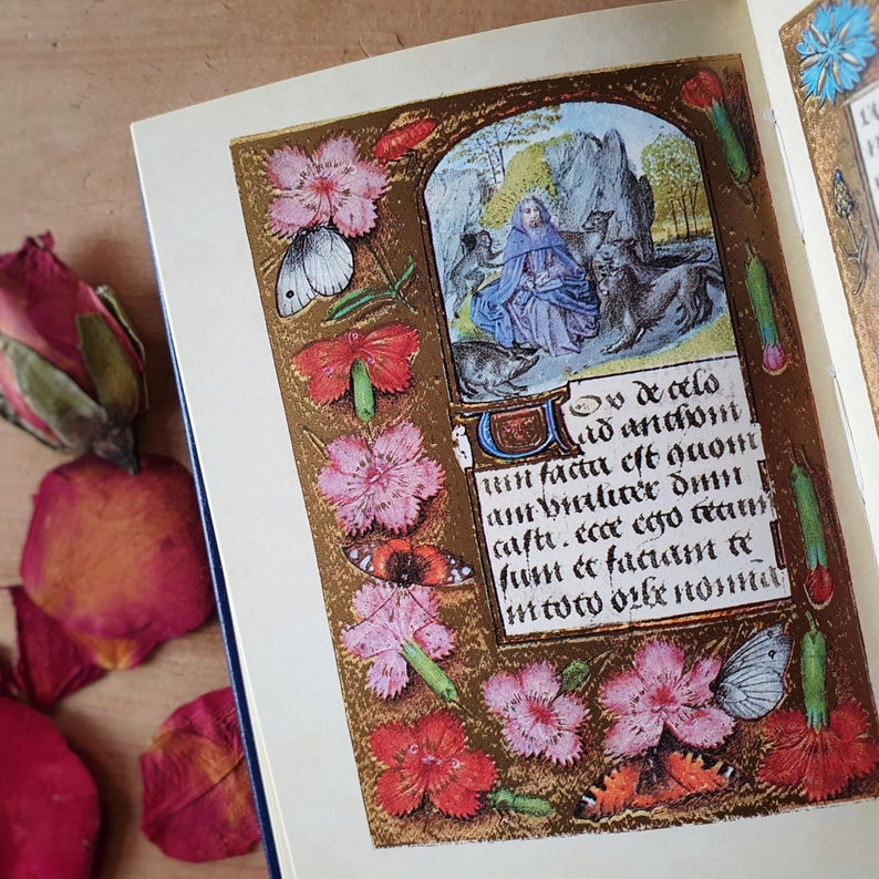 Puede incluir: Un libro abierto con una p&aacute;gina de manuscrito iluminado detallada. La p&aacute;gina presenta una ilustraci&oacute;n central de una figura con animales, rodeada de motivos florales y mariposas. Los bordes dorados enmarcan el texto y la obra de arte, con p&eacute;talos de rosa secos cerca.