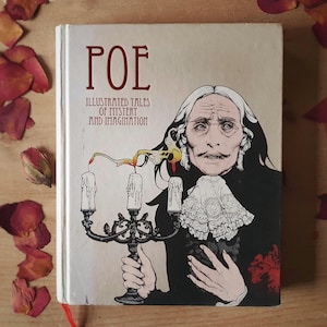 Edgar Allan Poe Illustrated Tales: Gothic Victorian Book