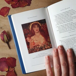 Livre de poésie vintage Love Sonnets. Cadeau idéal pour la Saint-Valentin, un anniversaire ou un mariage. Délicatement illustré. Presque en bon état.