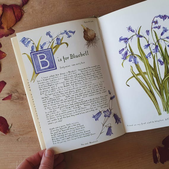 Very pretty vintage flower book an illustrated A to Z of flowers. One for your arty garden pal. Romantic!