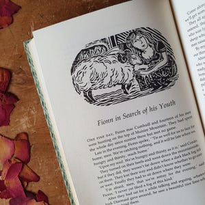 May include: An open book with a black and white illustration of a woman and a sheep. The text "Fionn in Search of his Youth" is above the illustration. The page has text below the illustration. Dried rose petals are scattered around the book.