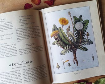 Pretty vintage book of herbal & plant infusions. Folklore, culinary, historical and medicinal aspects of plants. A kitchen garden gem.