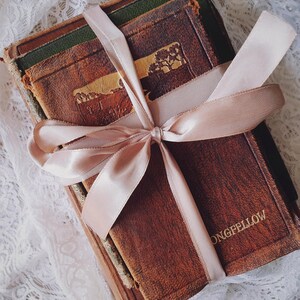 Lot de livres décoratifs en cuir comprenant de la poésie de Longfellow. Décoration antique parfaite pour la maison. Sélection de titres rares. Souvenir romantique.