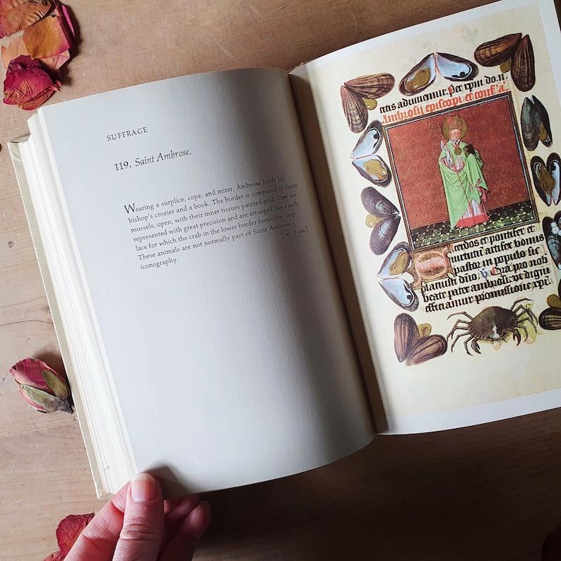 Może przedstawiać: Otwarta książka z tekstem "SUFFRAGE" i "119. Saint Ambrose." na lewej stronie. Prawa strona zawiera kolorową ilustrację postaci religijnej otoczonej ozdobnymi obramowaniami i tekstem. Suche płatki r&oacute;ż są rozrzucone wok&oacute;ł książki.
