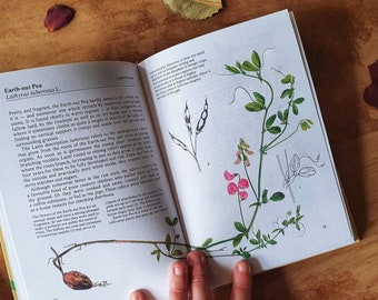 Wild Flowers of field and woodland. Vintage flower guide with plentiful illustrations for a woodland walk. Gift for the forager & nature fan