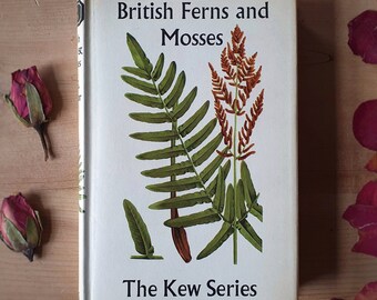 Niche vintage botanical book on British ferns and mosses. Pretty engravings and colour plates. Perfect for woodland wanderers.