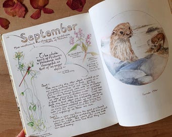 May include: An open book page titled September featuring handwritten journal entries, botanical illustrations of flowers, and a circular watercolor painting of a brown otter. The text includes observations about nature, wildlife, and the changing season.