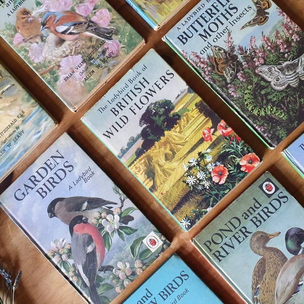 Vintage Ladybird nature books series 536. Birds, flowers + more natural world beauties. Lovely books to collect + gift. Wedding favours!