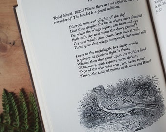 Vintage Wordsworth poetry book. Romantic poetry! Ideal gift for Romantic poetry + rural idyll fans. Delicately illustrated.