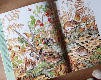 Gentle book of the countryside and seashore. Vintage flower & nature book. Seasonal diary. One for your arty garden pal.