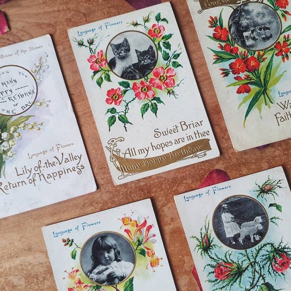 Language of Flowers Enola Holmes Etsy