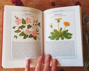 Lovely vintage book on the language of flowers. Watercolour style illustrations + botanical plates. One for floral Victoriana fans!