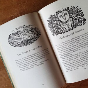 May include: Open book with illustrations and text. One illustration shows an owl surrounded by leaves, the other shows an open book. Text includes "Two Women or Twelve Men" and "The Long-Lived Ancestors."