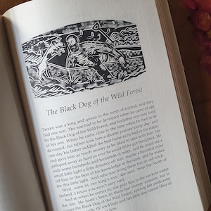 May include: An open book with the title "The Black Dog of the Wild Forest" and a black and white illustration of a man and two dogs in a boat. The text describes a king's son and a witch.