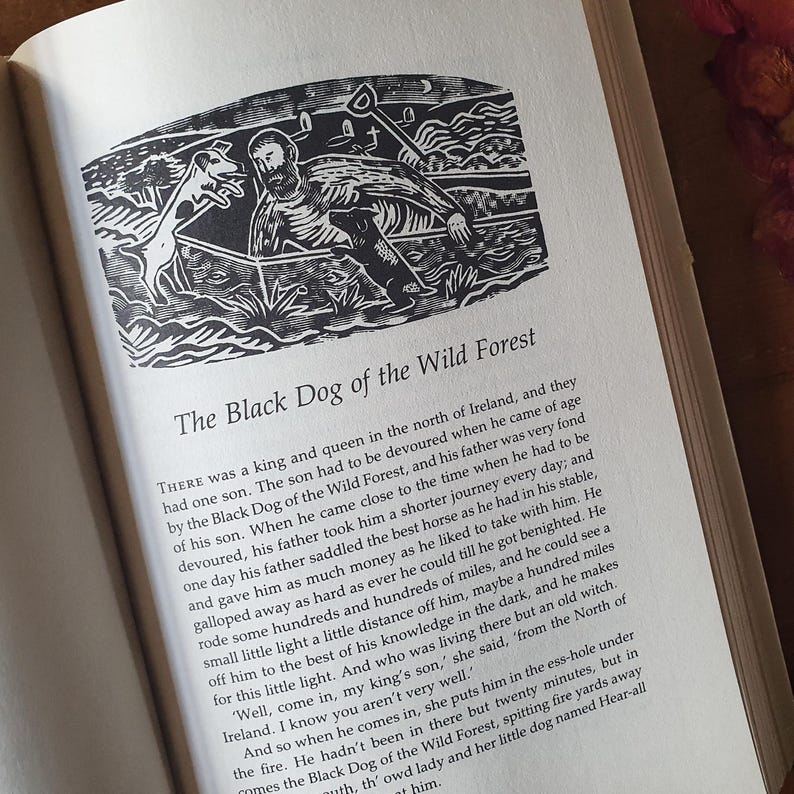 May include: An open book with the title "The Black Dog of the Wild Forest" and a black and white illustration of a man and two dogs in a boat. The text describes a king's son and a witch.