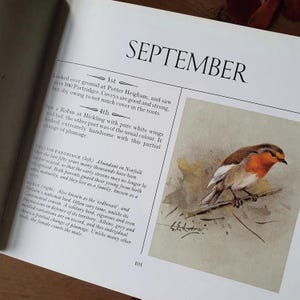 Gentle nature diary dedicated to bird book watching. Facsimile of 1911 diary. Beautiful watercolours. Gift worthy condition.