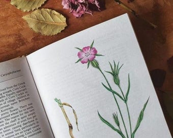 Wildflowers book. Vintage flower guide with plentiful illustrations for a woodland walk. Gift for the forager & nature lover.