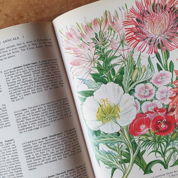 Vintage Garden Book Etsy UK