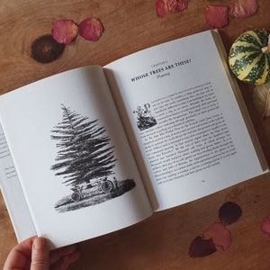 May include: An open book with the title "WHOSE TREES ARE THESE?" and the subtitle "Planting." The page features a detailed black and white illustration of a tree and a small cart. The book is on a wooden surface with scattered rose petals.