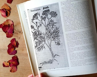 本 1900年代初期版！ イギリスの希少なアンティーク植物図鑑 花の図鑑