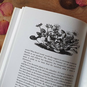 Vintage garden book. A memoir on the history and beauty of gardens. Wonderful woodcuts. Thoughtful & gentle gift on the love of gardening. image 5