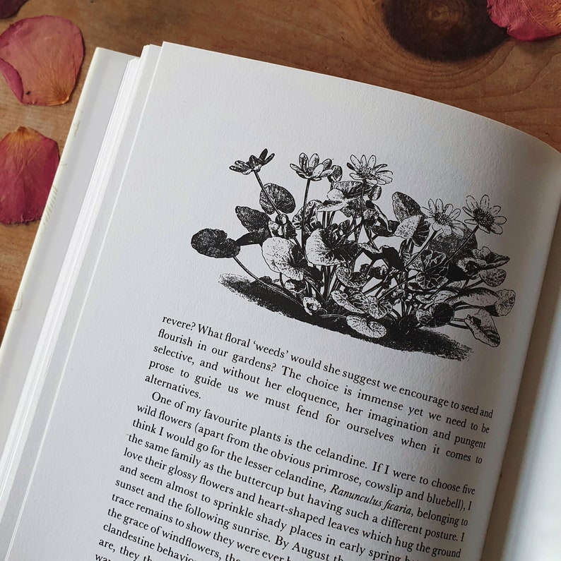 Vintage garden book. A memoir on the history and beauty of gardens. Wonderful woodcuts. Thoughtful & gentle gift on the love of gardening. image 5