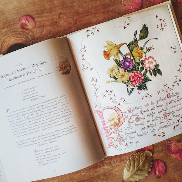 Very pretty vintage flower book. One for your arty garden pal. Country Flowers of a Victorian Lady. Romantic!