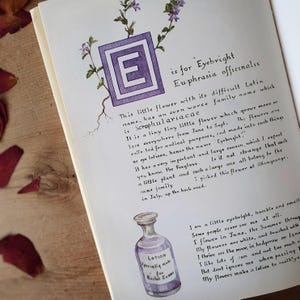 May include: An open book page with botanical illustrations and handwritten text. A purple framed "E" is at the top, with text about Eyebright. A small bottle labeled "Lotion" is at the bottom. Dried petals are scattered around.