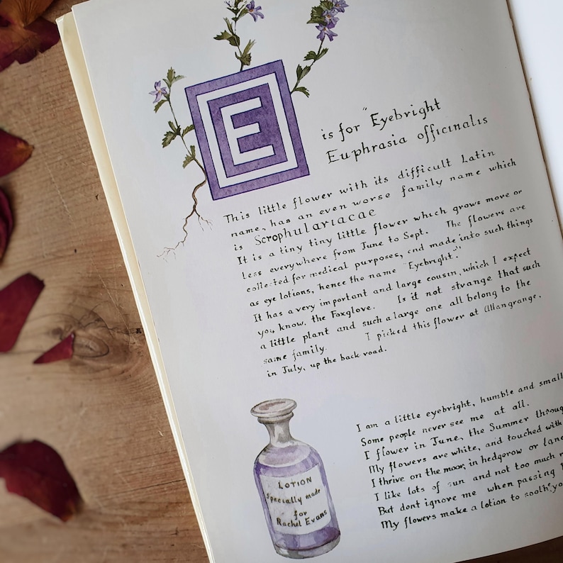 May include: An open book page with botanical illustrations and handwritten text. A purple framed "E" is at the top, with text about Eyebright. A small bottle labeled "Lotion" is at the bottom. Dried petals are scattered around.