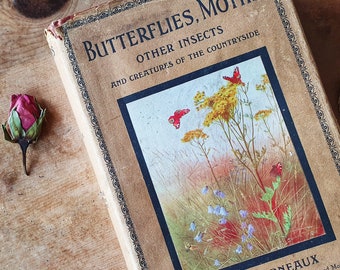 Antique nature book of Butterflies, Moths, Insects. Scarce first ed (1927) by WS Furneaux. Wonderful entomology + vintage illustrations.