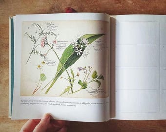 Wildflowers book of days. Illustrated calendar book with flower illustrations and botanical plates. Gift package perfect.