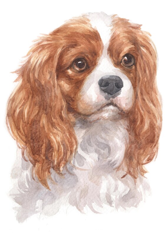 Watercolour Cavalier King Charles Spaniel Dog Breed Panel 1