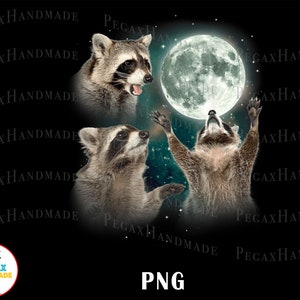 Op de afbeelding: Drie wasberen kijken omhoog naar een volle maan in een sterrenhemel. De wasberen staan in verschillende poses, één staat op zijn achterpoten, één zit en één kijkt omhoog met zijn mond open.