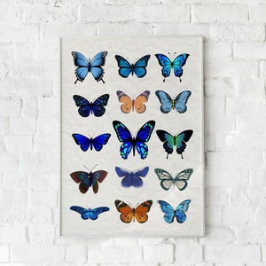 Butterfly Printable Art, Butterflies Print, Butterfly Poster, Butterfly Wall Art, Butterflies Digital Download, Butterfly Illustration