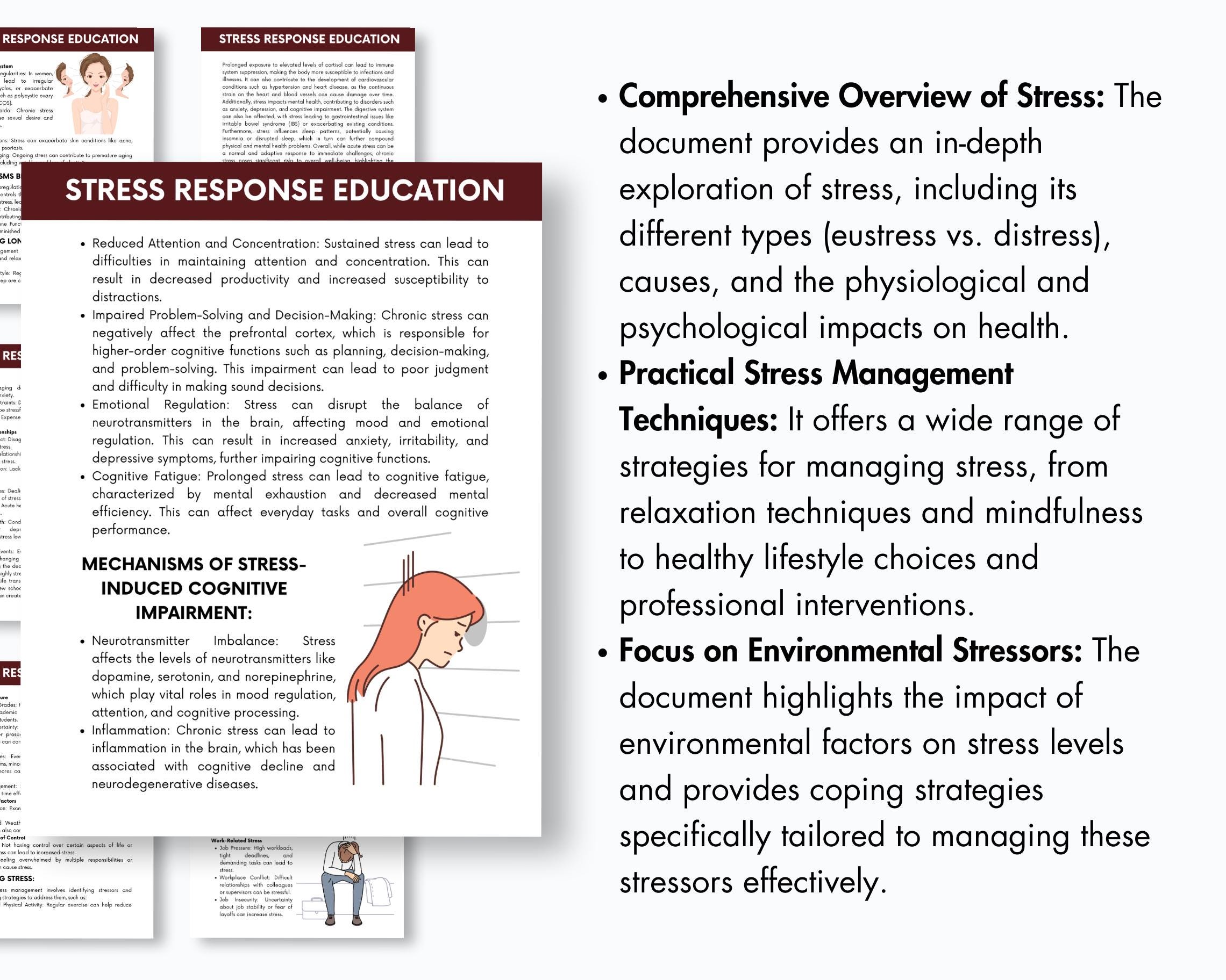 The Stress Response Guide: Psychoeducation Tool for Trauma Therapy PTSD ...