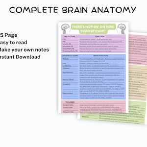 May include: A colorful infographic titled "Complete Brain Anatomy" with a diagram of the brain and descriptions of its parts and functions. The infographic is divided into sections titled "Big Picture", "Breaking it Down", "Brain Functions", and "The Lobes".