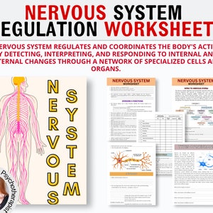 Nervous System Regulation Worksheet Bundle | Polyvagal Theory Prefrontal Cortex Trauma Therapy Autonomic Nervous System Trauma Counselor CBT
