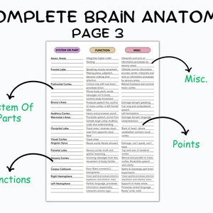 May include: A colorful diagram illustrating the anatomy of the human brain. The diagram shows the different parts of the brain, their functions, and their locations. The diagram also includes a key that explains the different colors used in the diagram. The diagram is titled "Complete Brain Anatomy Page 3".