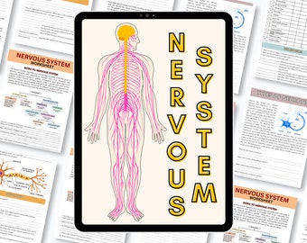 Nervous System Regulation Worksheet Bundle | Polyvagal Theory Prefrontal Cortex Trauma Therapy Autonomic Nervous System Trauma Counselor CBT
