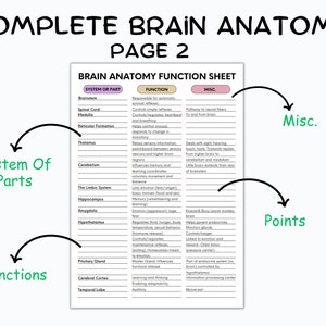 May include: A black and white printable chart with the title "Complete Brain Anatomy Page 2". The chart lists different parts of the brain, their functions, and miscellaneous facts. The chart is divided into three sections: System of Parts, Functions, and Misc.