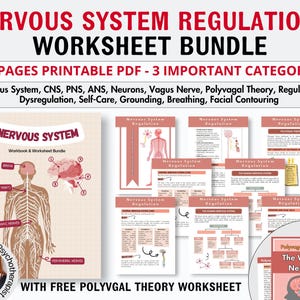 Werkboek regulatie van het zenuwstelsel, somatische inspanning Polyvagale theorie ladder Vagus vagale zenuwtherapie technieken werkbladen Co-regulatie