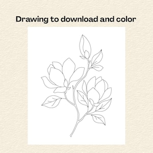 Pode incluir: Um desenho de linhas a preto e branco de um ramo de magnólia com duas flores abertas, um botão e folhas. O texto acima da ilustração diz: Drawing to download and color. O design encontra-se sobre um fundo branco.