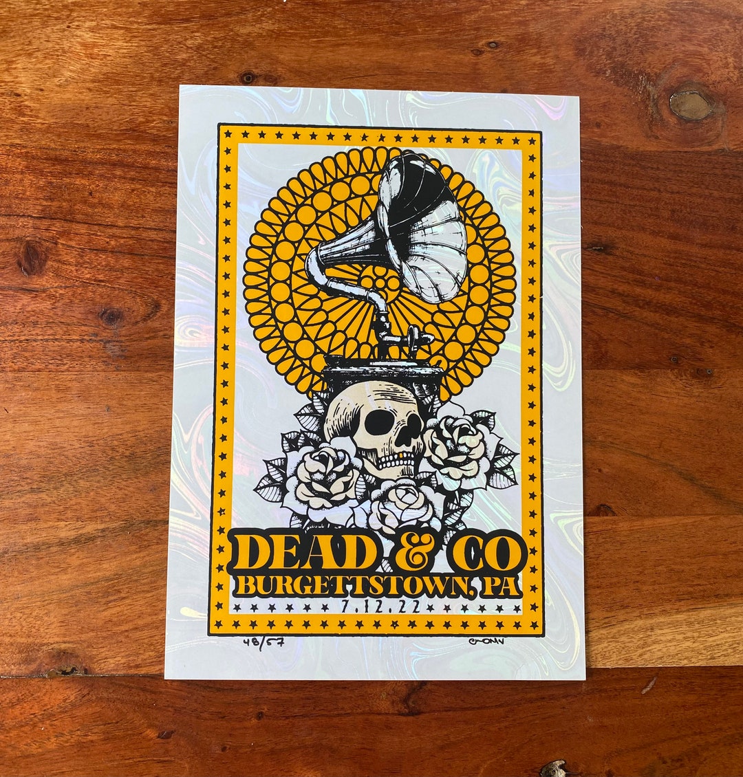 Dead and Company Tour Poster Screen Print Star Lake Etsy