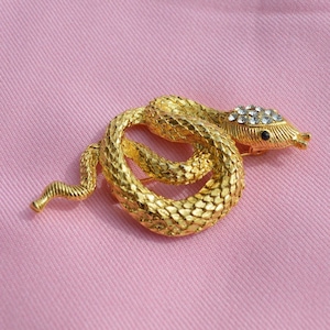 Golden Snake Broche / Broche de serpiente dorada