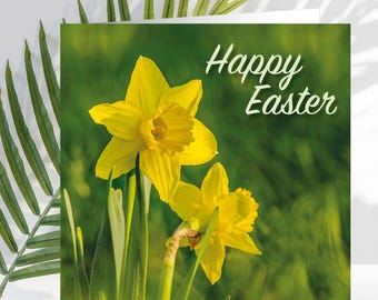 Pack of 5 Easter Cards, Spring Daffodils, with white envelopes, Happy Easter greeting inside.