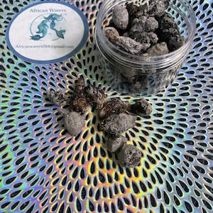 Special Kajiji Incense