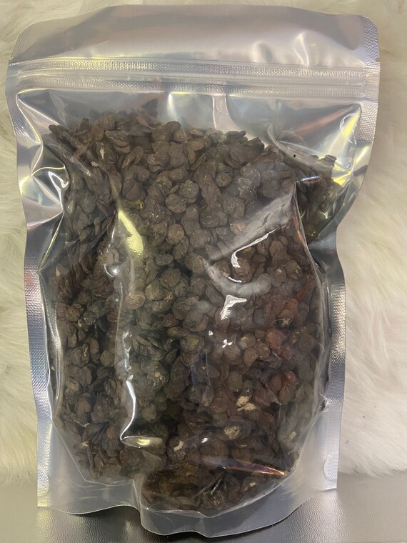 Dry Locust Bean Etsy