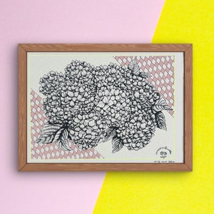 Serigrafía Hortensia 15X20cm numerada para decoración floral