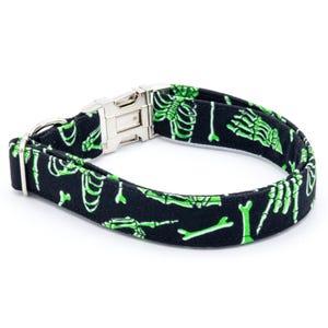May include: A black dog collar with a green skeleton pattern. The collar has a silver buckle.