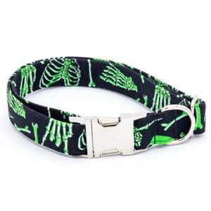 May include: A black dog collar with a green skeleton pattern. The collar has a silver buckle and a silver D-ring.